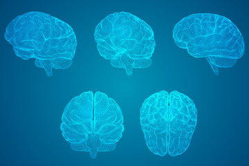 小学六年级英语翻译。加50分~~