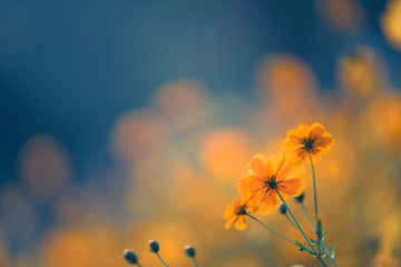 中国的动漫为什么发展缓慢？