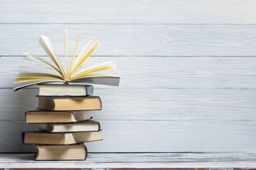 幼儿园大班语言教案-《春天来了》