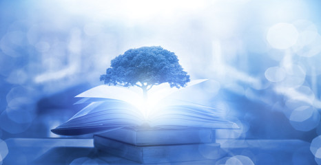 史记读书卡片怎么做