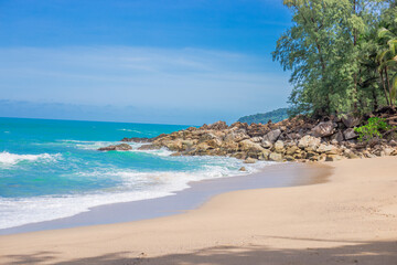 小学六年级英语翻译。加50分~~