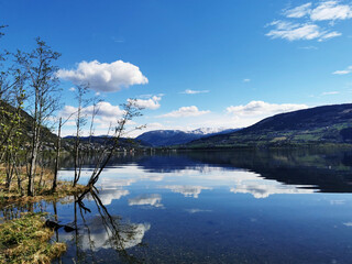 中国的动漫为什么发展缓慢？