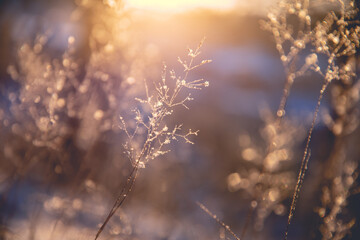 面试药店营业员会被问什么问题？