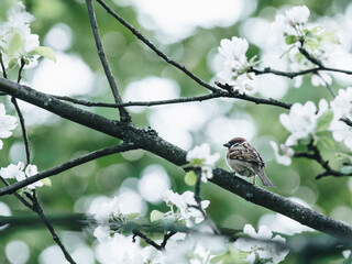 李靖和李绩哪个厉害