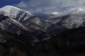 中班古诗有哪些