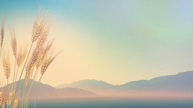 中班古诗有哪些