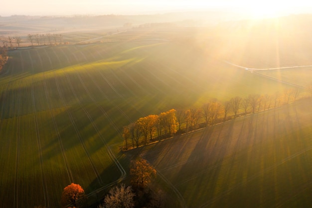 宇宙是由什么元素组成的